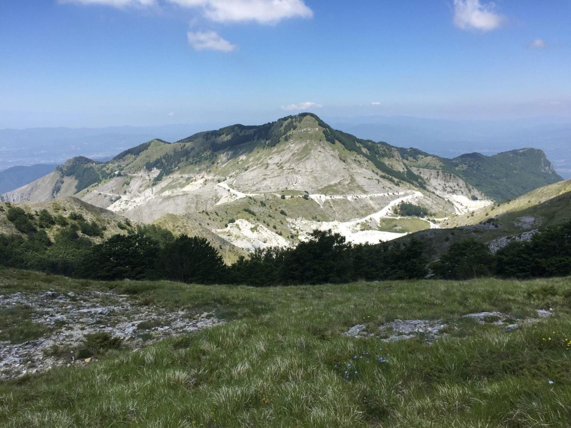 Amazing Holiday Home Near Pet Friendly Beach Carrara Esterno foto